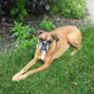 Meet your Posher, Bridget